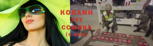 круглые Аркадак