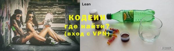 молекула духа Арсеньев