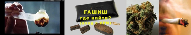 молекула духа Арсеньев
