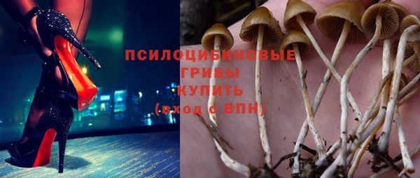 молекула духа Арсеньев