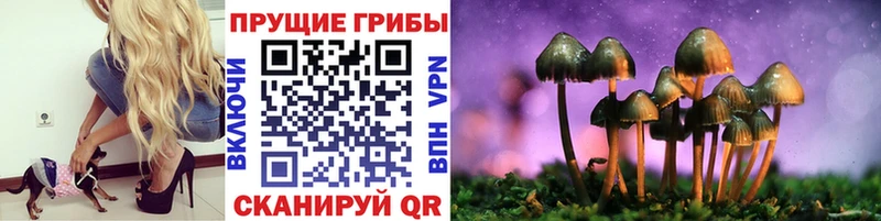 что такое наркотик  Светогорск  Псилоцибиновые грибы Cubensis 